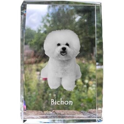 ART Bichon Frise, Tenerife Dog - Kryształ Ze Zdjęciem Psa, Zdjęcie W Szkle, Now ART Bichon Frise, Tenerife Dog - Kryształ Ze Zdjęciem Psa, Zdjęcie W Szkle, Now