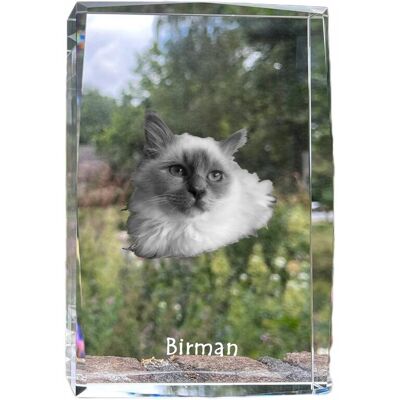 ART Birman - Kryształ Ze Zdjęciem Kota, Zdjęcie W Szkle, Nowoczesna Ekspozycja ART Birman - Kryształ Ze Zdjęciem Kota, Zdjęcie W Szkle, Nowoczesna Ekspozycja