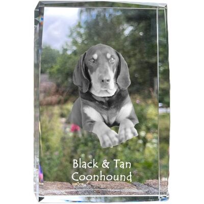 ART Black And Tan Coonhound I - Kryształ Ze Zdjęciem Psa, Zdjęcie W Szkle, Nowo ART Black And Tan Coonhound I - Kryształ Ze Zdjęciem Psa, Zdjęcie W Szkle, Nowo