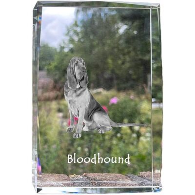 ART Bloodhound, Pies Św. Huberta - Kryształ Ze Zdjęciem Psa, Zdjęcie W Szkle, N ART Bloodhound, Pies Św. Huberta - Kryształ Ze Zdjęciem Psa, Zdjęcie W Szkle, N
