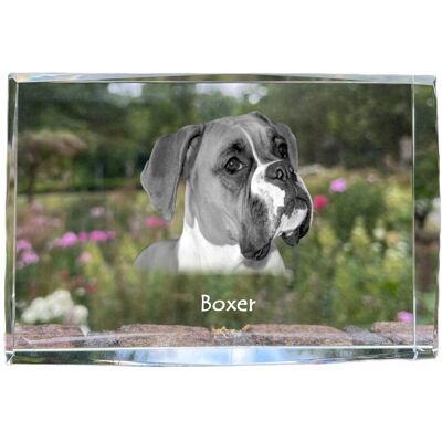 ART Bokser, Boxer Iii - Kryształ Ze Zdjęciem Psa, Zdjęcie W Szkle, Nowoczesna E ART Bokser, Boxer Iii - Kryształ Ze Zdjęciem Psa, Zdjęcie W Szkle, Nowoczesna E