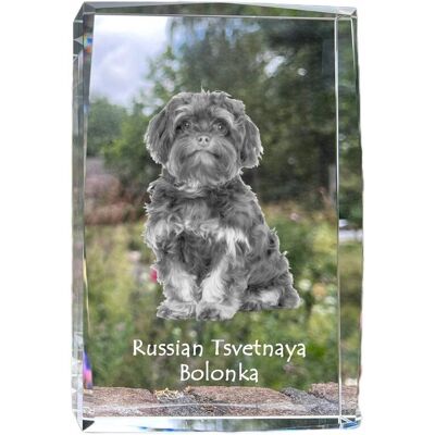 ART Bolonka, Rosyjska Bolonka Kolorowa - Kryształ Ze Zdjęciem Psa, Zdjęcie W Sz ART Bolonka, Rosyjska Bolonka Kolorowa - Kryształ Ze Zdjęciem Psa, Zdjęcie W Sz