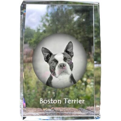 ART Boston Terrier, Boston Bull Terrier - Kryształ Ze Zdjęciem Psa, Zdjęcie W S ART Boston Terrier, Boston Bull Terrier - Kryształ Ze Zdjęciem Psa, Zdjęcie W S