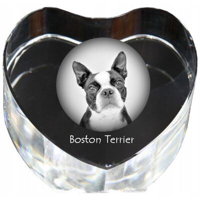 ART Boston Terrier, Boston Bull Terrier - Zdjęcie Psa W Krysztale, Kryształowe ART Boston Terrier, Boston Bull Terrier - Zdjęcie Psa W Krysztale, Kryształowe