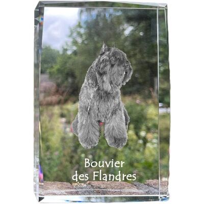 ART Bouvier Des Flandres - Kryształ Ze Zdjęciem Psa, Zdjęcie W Szkle, Nowoczesn ART Bouvier Des Flandres - Kryształ Ze Zdjęciem Psa, Zdjęcie W Szkle, Nowoczesn