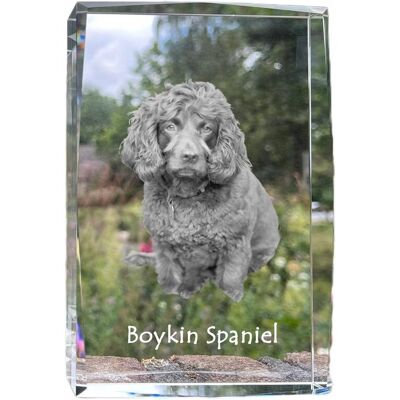 ART Boykin Spaniel - Kryształ Ze Zdjęciem Psa, Zdjęcie W Szkle, Nowoczesna Eksp ART Boykin Spaniel - Kryształ Ze Zdjęciem Psa, Zdjęcie W Szkle, Nowoczesna Eksp