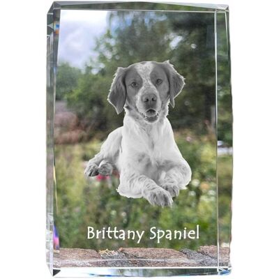 ART Brittany Spaniel, Epagneul Breton - Kryształ Ze Zdjęciem Psa, Zdjęcie W Szk ART Brittany Spaniel, Epagneul Breton - Kryształ Ze Zdjęciem Psa, Zdjęcie W Szk