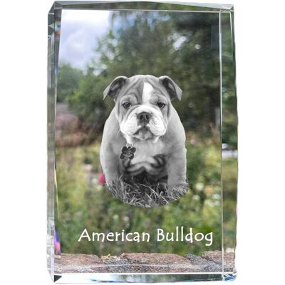 ART Buldog Amerykański - Kryształ Ze Zdjęciem Psa, Zdjęcie W Szkle, Nowoczesna ART Buldog Amerykański - Kryształ Ze Zdjęciem Psa, Zdjęcie W Szkle, Nowoczesna