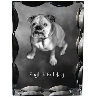 Buldog angielski, Bulldog - kryształ ze zdjęciem psa, szklana statuetka ze zdjęciem, wyjątkowa ramka ze zdjęciem marki Art-Dog Buldog angielski, Bulldog - kryształ ze zdjęciem psa, szklana statuetka ze zdjęciem, wyjątkowa ramka ze zdjęciem marki Art-Dog