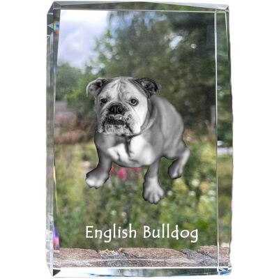 Buldog angielski, Bulldog - kryształ ze zdjęciem psa, zdjęcie w szkle, nowoczesna ekspozycja zdjęcia marki Art-Dog Buldog angielski, Bulldog - kryształ ze zdjęciem psa, zdjęcie w szkle, nowoczesna ekspozycja zdjęcia marki Art-Dog