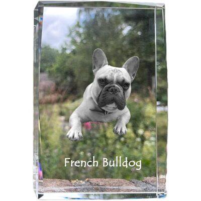 Buldog francuski - kryształ ze zdjęciem psa, zdjęcie w szkle, nowoczesna ekspozycja zdjęcia marki Art-Dog Buldog francuski - kryształ ze zdjęciem psa, zdjęcie w szkle, nowoczesna ekspozycja zdjęcia marki Art-Dog