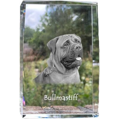 Bullmastiff, Bulmastif - kryształ ze zdjęciem psa, zdjęcie w szkle, nowoczesna ekspozycja zdjęcia marki Art-Dog Bullmastiff, Bulmastif - kryształ ze zdjęciem psa, zdjęcie w szkle, nowoczesna ekspozycja zdjęcia marki Art-Dog