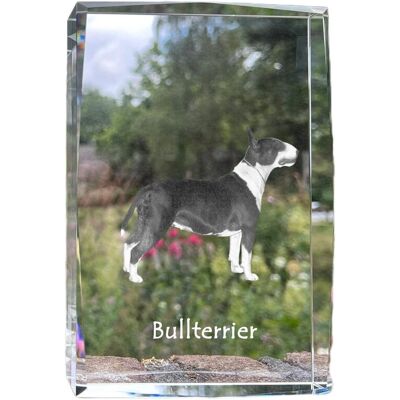 Bulterier, Bull Terrier - kryształ ze zdjęciem psa, zdjęcie w szkle, nowoczesna ekspozycja zdjęcia marki Art-Dog Bulterier, Bull Terrier - kryształ ze zdjęciem psa, zdjęcie w szkle, nowoczesna ekspozycja zdjęcia marki Art-Dog