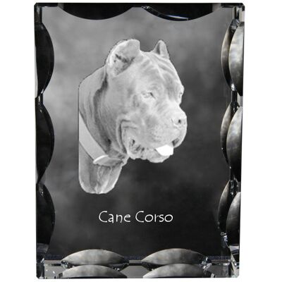 Cane Corso Italiano - kryształ ze zdjęciem psa, szklana statuetka ze zdjęciem, wyjątkowa ramka ze zdjęciem marki Art-Dog Cane Corso Italiano - kryształ ze zdjęciem psa, szklana statuetka ze zdjęciem, wyjątkowa ramka ze zdjęciem marki Art-Dog