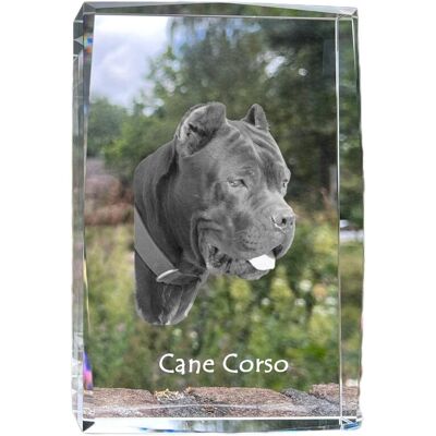 Cane Corso Italiano - kryształ ze zdjęciem psa, zdjęcie w szkle, nowoczesna ekspozycja zdjęcia marki Art-Dog Cane Corso Italiano - kryształ ze zdjęciem psa, zdjęcie w szkle, nowoczesna ekspozycja zdjęcia marki Art-Dog