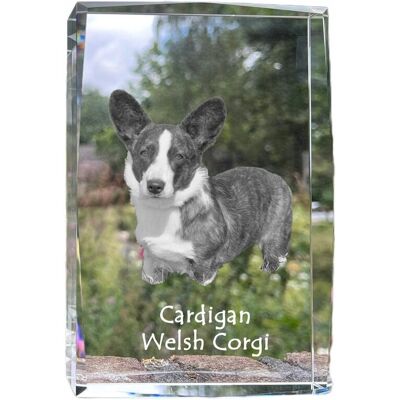 ART Cardigan Welsh Corgi I - Kryształ Ze Zdjęciem Psa, Zdjęcie W Szkle, Nowocze ART Cardigan Welsh Corgi I - Kryształ Ze Zdjęciem Psa, Zdjęcie W Szkle, Nowocze