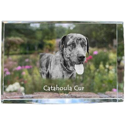 ART Catahoula Leopard Dog - Kryształ Ze Zdjęciem Psa, Zdjęcie W Szkle, Nowoczes ART Catahoula Leopard Dog - Kryształ Ze Zdjęciem Psa, Zdjęcie W Szkle, Nowoczes