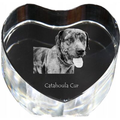 ART Catahoula Leopard Dog - Zdjęcie Psa W Krysztale, Kryształowe Serce, Wyjątko ART Catahoula Leopard Dog - Zdjęcie Psa W Krysztale, Kryształowe Serce, Wyjątko