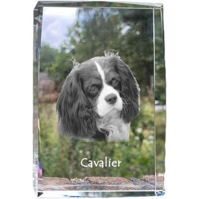 ART Cavalier King Charles Spaniel - Kryształ Ze Zdjęciem Psa, Zdjęcie W Szkle, ART Cavalier King Charles Spaniel - Kryształ Ze Zdjęciem Psa, Zdjęcie W Szkle,