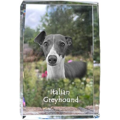 Charcik włoski, Italian Greyhound - kryształ ze zdjęciem psa, zdjęcie w szkle, nowoczesna ekspozycja zdjęcia marki Art-Dog Charcik włoski, Italian Greyhound - kryształ ze zdjęciem psa, zdjęcie w szkle, nowoczesna ekspozycja zdjęcia marki Art-Dog
