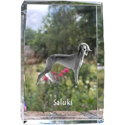 Chart perski, Saluki I - kryształ ze zdjęciem psa, zdjęcie w szkle, nowoczesna ekspozycja zdjęcia marki Art-Dog Chart perski, Saluki I - kryształ ze zdjęciem psa, zdjęcie w szkle, nowoczesna ekspozycja zdjęcia marki Art-Dog