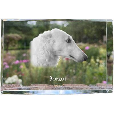 Chart rosyjski borzoj, Borzoi, Barzoi - kryształ ze zdjęciem psa, zdjęcie w szkle, nowoczesna ekspozycja zdjęcia marki Art-Dog Chart rosyjski borzoj, Borzoi, Barzoi - kryształ ze zdjęciem psa, zdjęcie w szkle, nowoczesna ekspozycja zdjęcia marki Art-Dog