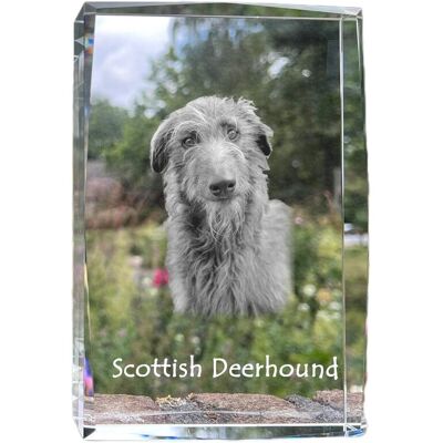 Chart szkocki, Deerhound - kryształ ze zdjęciem psa, zdjęcie w szkle, nowoczesna ekspozycja zdjęcia marki Art-Dog Chart szkocki, Deerhound - kryształ ze zdjęciem psa, zdjęcie w szkle, nowoczesna ekspozycja zdjęcia marki Art-Dog