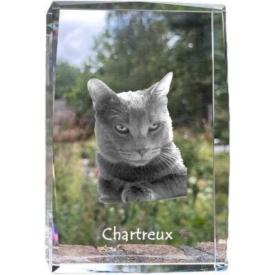Chartreux - kryształ ze zdjęciem kota, zdjęcie w szkle, nowoczesna ekspozycja zdjęcia marki Art-Dog Chartreux - kryształ ze zdjęciem kota, zdjęcie w szkle, nowoczesna ekspozycja zdjęcia marki Art-Dog