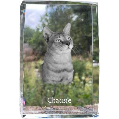 Chausie - kryształ ze zdjęciem kota, zdjęcie w szkle, nowoczesna ekspozycja zdjęcia marki Art-Dog Chausie - kryształ ze zdjęciem kota, zdjęcie w szkle, nowoczesna ekspozycja zdjęcia marki Art-Dog
