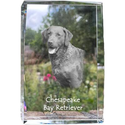 Chesapeake Bay Retriever - kryształ ze zdjęciem psa, zdjęcie w szkle, nowoczesna ekspozycja zdjęcia marki Art-Dog Chesapeake Bay Retriever - kryształ ze zdjęciem psa, zdjęcie w szkle, nowoczesna ekspozycja zdjęcia marki Art-Dog