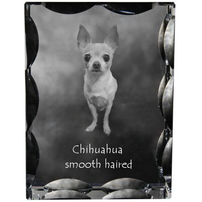 Chihuahua długowłosy - kryształ ze zdjęciem psa, szklana statuetka ze zdjęciem, wyjątkowa ramka ze zdjęciem marki Art-Dog Chihuahua długowłosy - kryształ ze zdjęciem psa, szklana statuetka ze zdjęciem, wyjątkowa ramka ze zdjęciem marki Art-Dog