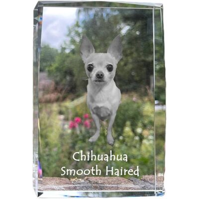 Chihuahua długowłosy - kryształ ze zdjęciem psa, zdjęcie w szkle, nowoczesna ekspozycja zdjęcia marki Art-Dog Chihuahua długowłosy - kryształ ze zdjęciem psa, zdjęcie w szkle, nowoczesna ekspozycja zdjęcia marki Art-Dog