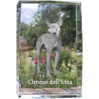 Cirneco dell'Etna, Chart sycylijski - kryształ ze zdjęciem psa, zdjęcie w szkle, nowoczesna ekspozycja zdjęcia marki Art-Dog Cirneco dell'Etna, Chart sycylijski - kryształ ze zdjęciem psa, zdjęcie w szkle, nowoczesna ekspozycja zdjęcia marki Art-Dog