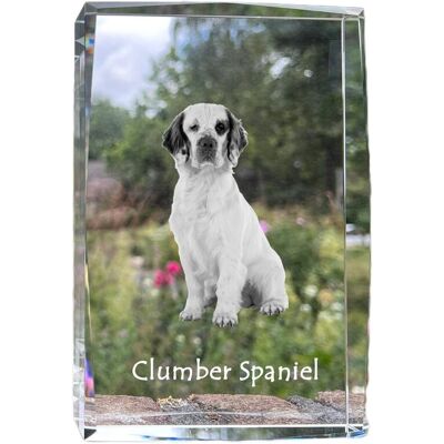 Clumber Spaniel - kryształ ze zdjęciem psa, zdjęcie w szkle, nowoczesna ekspozycja zdjęcia marki Art-Dog Clumber Spaniel - kryształ ze zdjęciem psa, zdjęcie w szkle, nowoczesna ekspozycja zdjęcia marki Art-Dog