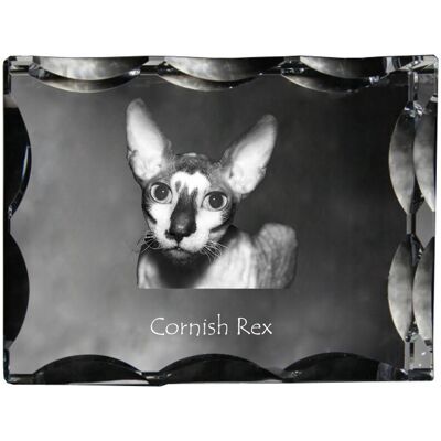 ART Cornish Rex - Kryształ Ze Zdjęciem Kota, Szklana Statuetka Ze Zdjęciem, Wyj ART Cornish Rex - Kryształ Ze Zdjęciem Kota, Szklana Statuetka Ze Zdjęciem, Wyj