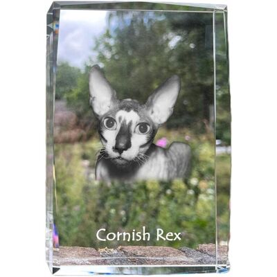 ART Cornish Rex - Kryształ Ze Zdjęciem Kota, Zdjęcie W Szkle, Nowoczesna Ekspoz ART Cornish Rex - Kryształ Ze Zdjęciem Kota, Zdjęcie W Szkle, Nowoczesna Ekspoz
