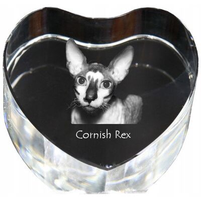 ART Cornish Rex - Zdjęcie Kota W Krysztale, Kryształowe Serce, Wyjątkowa Ramka ART Cornish Rex - Zdjęcie Kota W Krysztale, Kryształowe Serce, Wyjątkowa Ramka