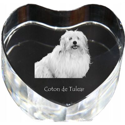 ART Coton De Tulear - Zdjęcie Psa W Krysztale, Kryształowe Serce, Wyjątkowa Ram ART Coton De Tulear - Zdjęcie Psa W Krysztale, Kryształowe Serce, Wyjątkowa Ram