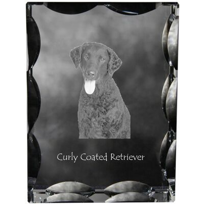 ART Curly Coated Retriever - Kryształ Ze Zdjęciem Psa, Szklana Statuetka Ze Zdj ART Curly Coated Retriever - Kryształ Ze Zdjęciem Psa, Szklana Statuetka Ze Zdj