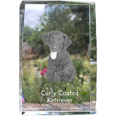 ART Curly Coated Retriever - Kryształ Ze Zdjęciem Psa, Zdjęcie W Szkle, Nowocze ART Curly Coated Retriever - Kryształ Ze Zdjęciem Psa, Zdjęcie W Szkle, Nowocze