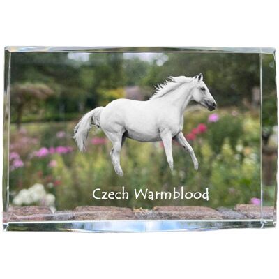 ART Czeski Koń Pełnej Krwi Angielskiej - Kryształ Ze Zdjęciem Konia, Zdjęcie W ART Czeski Koń Pełnej Krwi Angielskiej - Kryształ Ze Zdjęciem Konia, Zdjęcie W