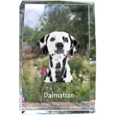 Dalmatyńczyk, Wyżeł dalmatyński - kryształ ze zdjęciem psa, zdjęcie w szkle, nowoczesna ekspozycja zdjęcia marki Art-Dog Dalmatyńczyk, Wyżeł dalmatyński - kryształ ze zdjęciem psa, zdjęcie w szkle, nowoczesna ekspozycja zdjęcia marki Art-Dog