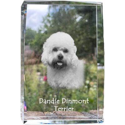 Dandie Dinmont Terrier - kryształ ze zdjęciem psa, zdjęcie w szkle, nowoczesna ekspozycja zdjęcia marki Art-Dog Dandie Dinmont Terrier - kryształ ze zdjęciem psa, zdjęcie w szkle, nowoczesna ekspozycja zdjęcia marki Art-Dog