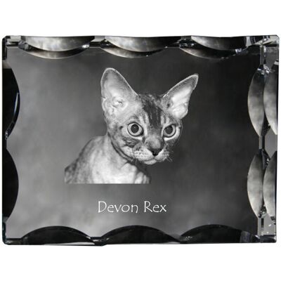 Devon Rex - kryształ ze zdjęciem kota, szklana statuetka ze zdjęciem, wyjątkowa ramka ze zdjęciem marki Art-Dog Devon Rex - kryształ ze zdjęciem kota, szklana statuetka ze zdjęciem, wyjątkowa ramka ze zdjęciem marki Art-Dog