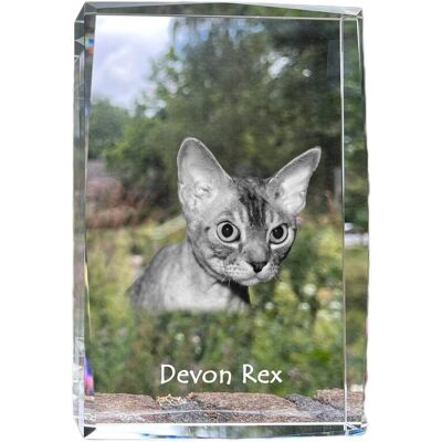 Devon Rex - kryształ ze zdjęciem kota, zdjęcie w szkle, nowoczesna ekspozycja zdjęcia marki Art-Dog Devon Rex - kryształ ze zdjęciem kota, zdjęcie w szkle, nowoczesna ekspozycja zdjęcia marki Art-Dog