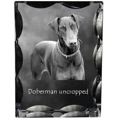 Doberman, Dobermann I - kryształ ze zdjęciem psa, szklana statuetka ze zdjęciem, wyjątkowa ramka ze zdjęciem marki Art-Dog Doberman, Dobermann I - kryształ ze zdjęciem psa, szklana statuetka ze zdjęciem, wyjątkowa ramka ze zdjęciem marki Art-Dog