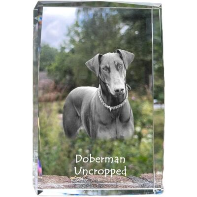 Doberman, Dobermann I - kryształ ze zdjęciem psa, zdjęcie w szkle, nowoczesna ekspozycja zdjęcia marki Art-Dog Doberman, Dobermann I - kryształ ze zdjęciem psa, zdjęcie w szkle, nowoczesna ekspozycja zdjęcia marki Art-Dog