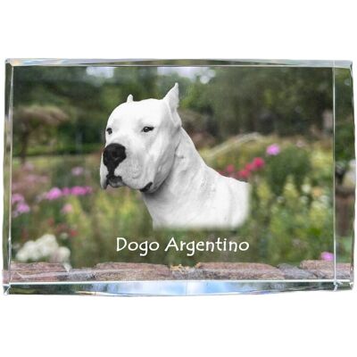 Dog argentyński, Dogo Argentino - kryształ ze zdjęciem psa, zdjęcie w szkle, nowoczesna ekspozycja zdjęcia marki Art-Dog Dog argentyński, Dogo Argentino - kryształ ze zdjęciem psa, zdjęcie w szkle, nowoczesna ekspozycja zdjęcia marki Art-Dog