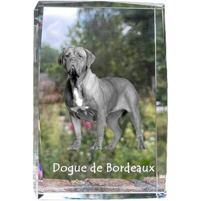 ART Dog Z Bordeaux, Dogue De Bordeaux, Mastif Francuski - Kryształ Ze Zdjęciem ART Dog Z Bordeaux, Dogue De Bordeaux, Mastif Francuski - Kryształ Ze Zdjęciem