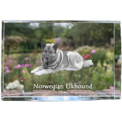 ART Elkhund, Norweski Elghund Szary - Kryształ Ze Zdjęciem Psa, Zdjęcie W Szkle ART Elkhund, Norweski Elghund Szary - Kryształ Ze Zdjęciem Psa, Zdjęcie W Szkle